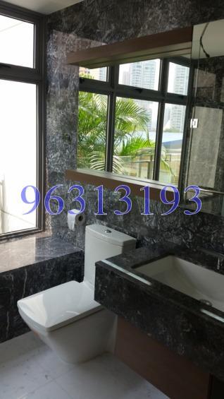 Starlight Suites (D9), Apartment #187221582